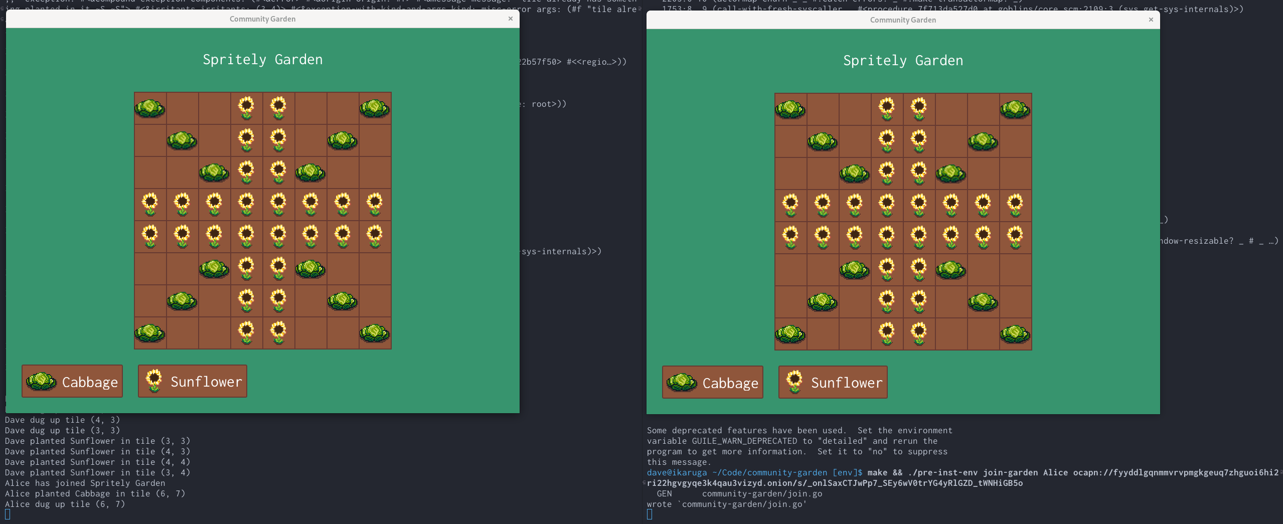 Networked Garden example with two windows